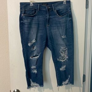 Judy Blue skinny fit capri